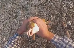 ловля вусаня