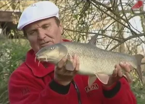 ловля вусаня