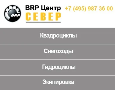 Кращі снігоходи для полювання і риболовлі як вибрати, виробники, ціни (який снігохід краще) Кращі снігоходи для полювання і риболовлі як вибрати, виробники, ціни