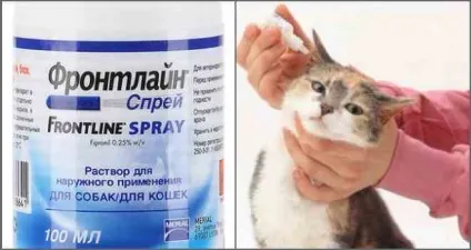 Кращі краплі від вушного кліща для кішок (краплі) Кращі краплі від вушного кліща для кішок