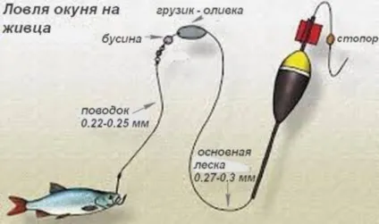 Ловля окуня на поплавкову вудку на хробака і малька (малька) Ловля окуня на поплавкову вудку на хробака і малька