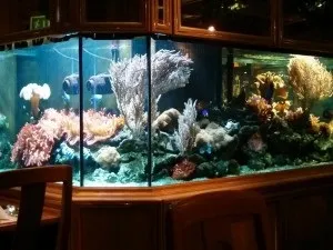 Люмінесцентна лампа для акваріума (освітлення) Люмінесцентна лампа для акваріума