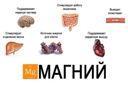 Магнієва дієта відгуки, меню для магнієвої дієти при жовчнокам'яній хворобі, рецепти (відгуки) Магнієва дієта відгуки, меню для магнієвої дієти при жовчнокам'яній хворобі, рецепти