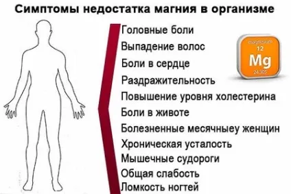 Магнієва дієта відгуки, меню для магнієвої дієти при жовчнокам'яній хворобі, рецепти (меню) Магнієва дієта відгуки, меню для магнієвої дієти при жовчнокам'яній хворобі, рецепти