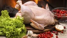 Маринований курча в часнику від лари Кацова, рецепт приготування в домашніх умовах (приготування) Маринований курча в часнику від лари Кацова, рецепт приготування в домашніх умовах