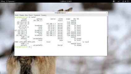 Маршрутизація в linux, losst