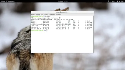 Маршрутизація в linux, losst