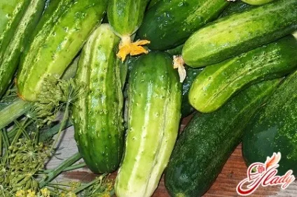 Мариновані огірки смачні рецепти (маринований огірок рецепт смачні зробити зиму корнішони) Мариновані огірки смачні рецепти