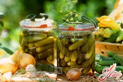 Мариновані огірки смачні рецепти (мариновані) Мариновані огірки смачні рецепти