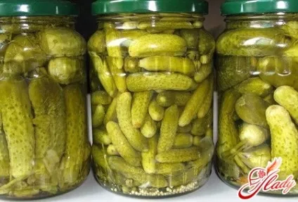 Мариновані огірки смачні рецепти (смачні) Мариновані огірки смачні рецепти