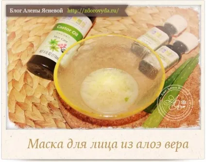 Маска з алое з медом для обличчя - рецепт приготування з фотографіями (алое вера) Маска з алое з медом для обличчя - рецепт приготування з фотографіями