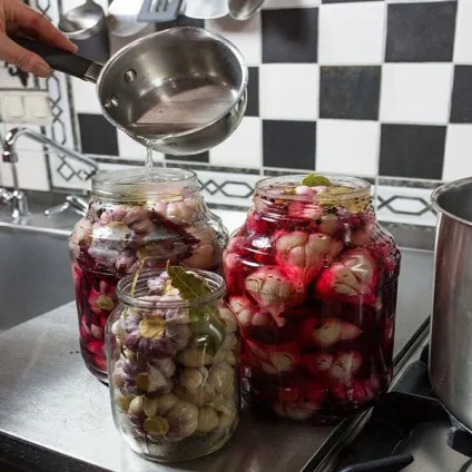 Маринований часник з буряком, рецепти приготування цілих головок, часточок, відео (часник) Маринований часник з буряком, рецепти приготування цілих головок, часточок, відео