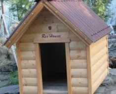 Майстер-клас як своїми руками побудувати будку для німецької вівчарки (побудувати) Майстер-клас як своїми руками побудувати будку для німецької вівчарки