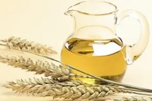 Масло зародків пшениці для обличчя лікувальні та косметичні властивості, показання та протипоказання (масло зародків пшениці для обличчя корисні властивості лікування шкіра маски) Масло зародків пшениці для обличчя лікувальні та косметичні властивості, показання та протипоказання