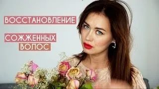 Маски для відновлення коренів і кінчиків сухих і спалених волосся в домашніх умовах (відновлення) Маски для відновлення коренів і кінчиків сухих і спалених волосся в домашніх умовах