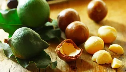 Масло макадамії для волосся рецепти домашніх масок (волосся) Масло макадамії для волосся рецепти домашніх масок