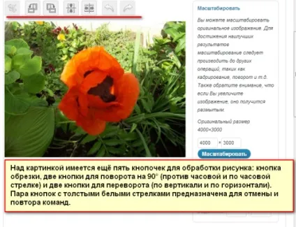 Масштабування картинки в wordpress