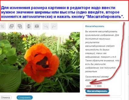 Масштабування картинки в wordpress
