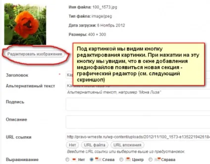 Масштабування картинки в wordpress