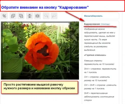 Масштабування картинки в wordpress