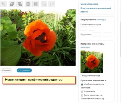 Масштабування картинки в wordpress