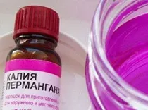 Меблеві клопи як їх вивести і виявити (виявити) Меблеві клопи як їх вивести і виявити