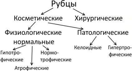 Мазь проти шрамів і рубців
