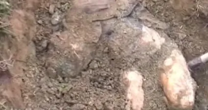 кладовище наречених