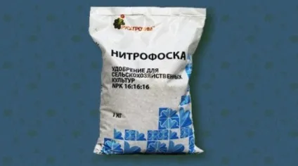 Коли садити ранню капусту на розсаду - терміни і покрокова інструкція! (Капусту) Коли садити ранню капусту на розсаду - терміни і покрокова інструкція!