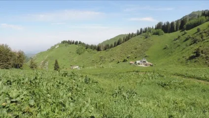 Коли сімейний відпочинок, прям як в дитинстві ...
