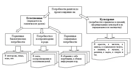 Класифікація потреб