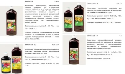 Коли садити ранню капусту на розсаду - терміни і покрокова інструкція! (Ранню) Коли садити ранню капусту на розсаду - терміни і покрокова інструкція!