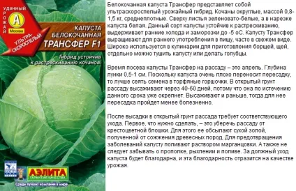 Коли садити ранню капусту на розсаду - терміни і покрокова інструкція! (Ранню) Коли садити ранню капусту на розсаду - терміни і покрокова інструкція!