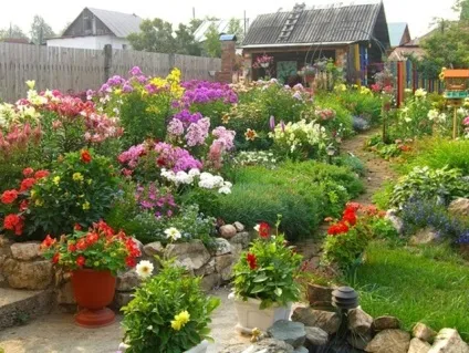 Клумби з ліліями своїми руками фото в саду на дачі (клумби) Клумби з ліліями своїми руками фото в саду на дачі