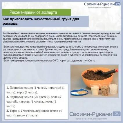 Коли садити ранню капусту на розсаду - терміни і покрокова інструкція! (Терміни) Коли садити ранню капусту на розсаду - терміни і покрокова інструкція!