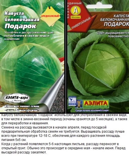 Коли садити ранню капусту на розсаду - терміни і покрокова інструкція! (Капусту) Коли садити ранню капусту на розсаду - терміни і покрокова інструкція!