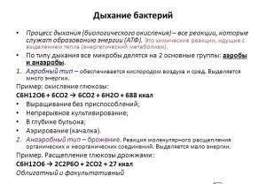 Метаболізм бактерій види (енергетичний, конструктивний), особливості, ферменти