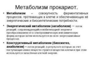 Метаболізм бактерій види (енергетичний, конструктивний), особливості, ферменти