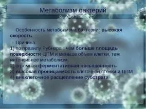 Метаболізм бактерій види (енергетичний, конструктивний), особливості, ферменти