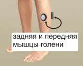 Методика лікування п'яткової шпори вітафон (шпори) Методика лікування п'яткової шпори вітафон