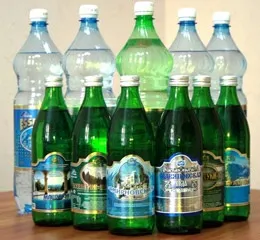 Мінеральна вода - велика енциклопедія народної медицини (воду слід пити) Мінеральна вода - велика енциклопедія народної медицини