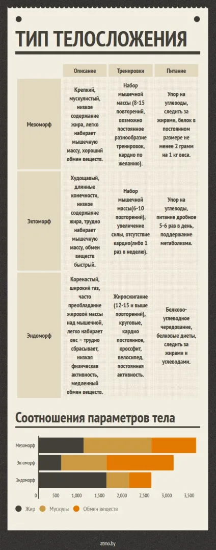 Мезоморф, ектоморф і ендоморф (мезоморф) Мезоморф, ектоморф і ендоморф