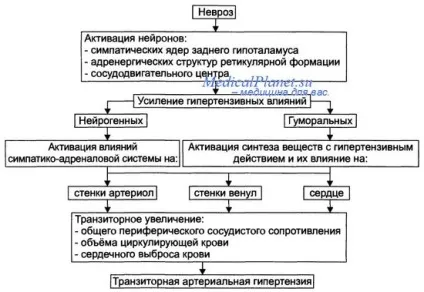 Міокардіальна форма серцевої недостатності - лікування серця (миокардиальная) Міокардіальна форма серцевої недостатності - лікування серця