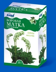 Міома матки - лікування народними засобами борової маткою, кедровими горішками, чистотілом і ін (народними) Міома матки - лікування народними засобами борової маткою, кедровими горішками, чистотілом і ін