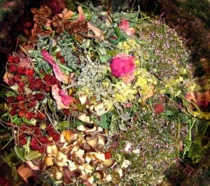 Міома матки - лікування народними засобами борової маткою, кедровими горішками, чистотілом і ін (матки) Міома матки - лікування народними засобами борової маткою, кедровими горішками, чистотілом і ін