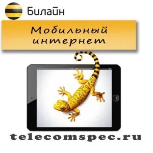 Мобільний інтернет від Білайн як підключити, пакети і вартість - Ростелеком - послуги, тарифи, (розраховується) Мобільний інтернет від Білайн як підключити, пакети і вартість - Ростелеком - послуги, тарифи,