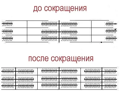М'язові скорочення - від чого залежать сила і швидкість м'язів (сила) М'язові скорочення - від чого залежать сила і швидкість м'язів