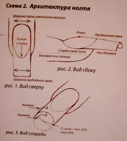 моделювання нігтів