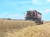Могилевський облвиконком - новини Могильова і Могилевської області (економіка) Могилевський облвиконком - новини Могильова і Могилевської області