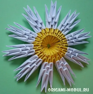 Модульне орігамі ромашка схема збірки з фоторгафии (ромашка) Модульне орігамі ромашка схема збірки з фоторгафии